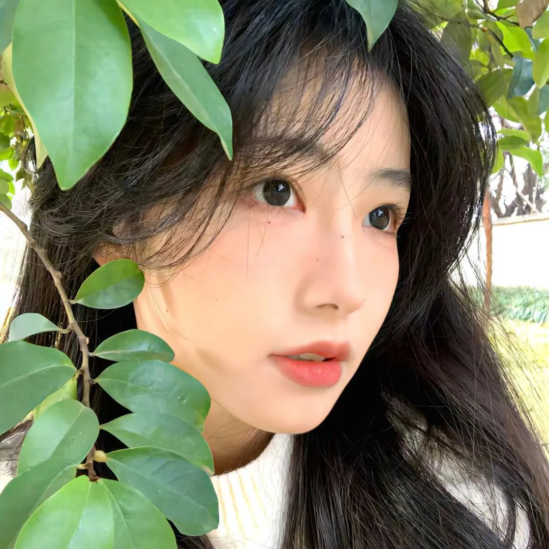 光影流情